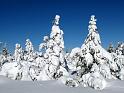 2010-01-31, Altenberg (11)